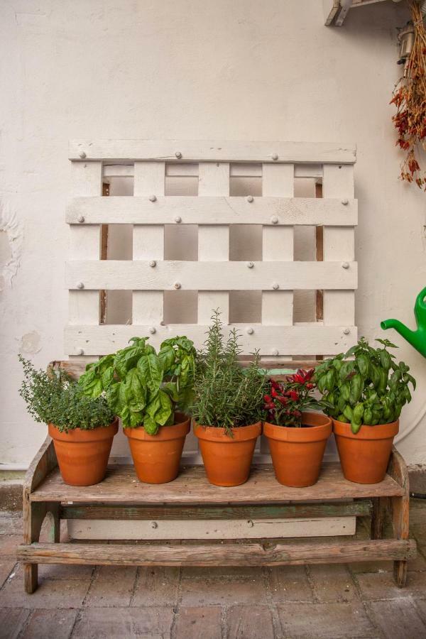 Borgo Vergini Garden B&B Νάπολη Εξωτερικό φωτογραφία